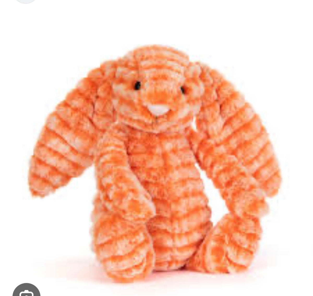 Fizzleskip Bunny