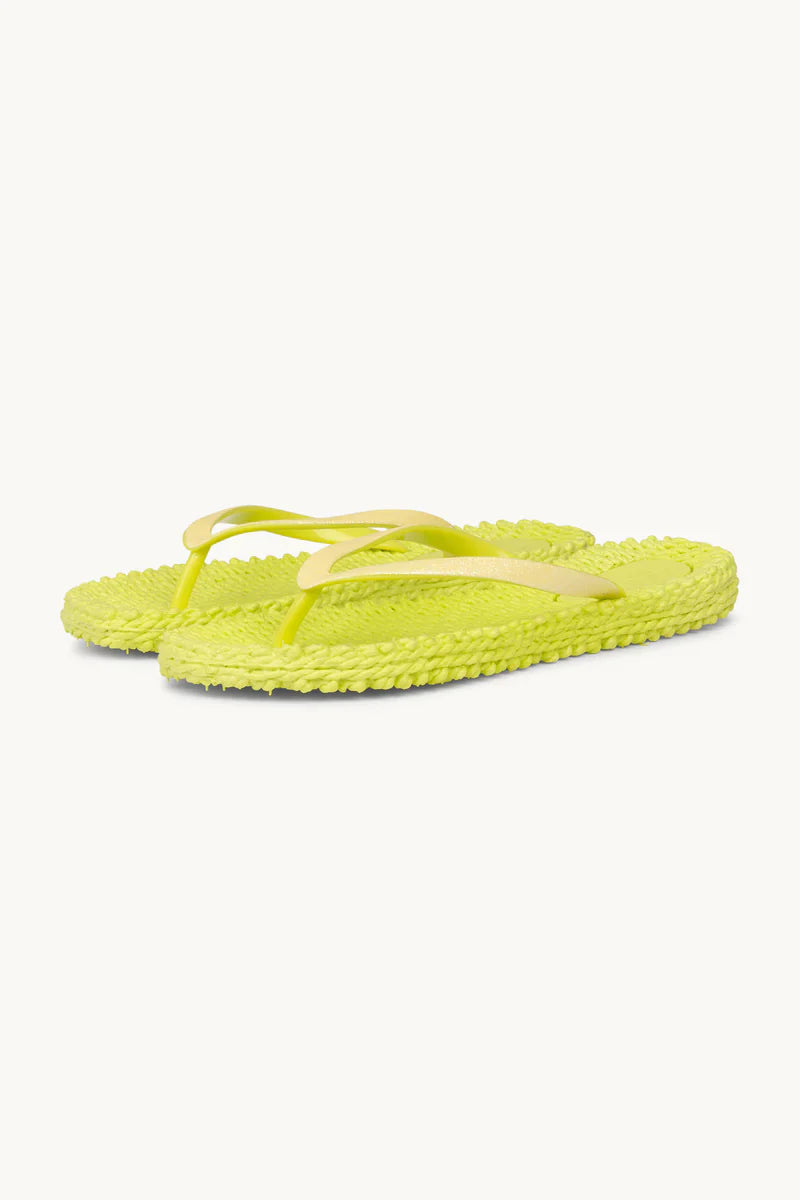 Flip Flops