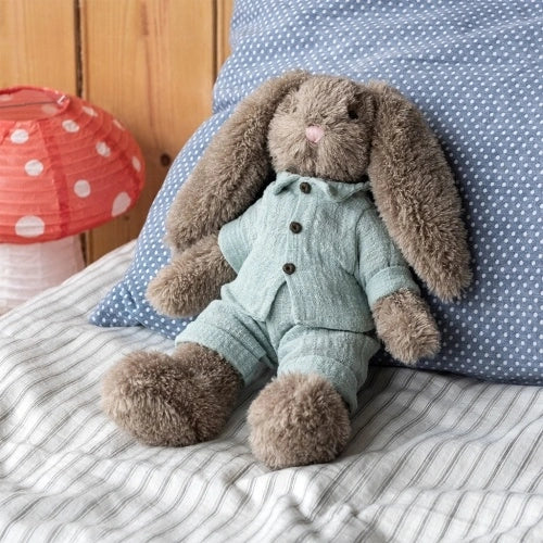 Bunny in a Blue Outfit