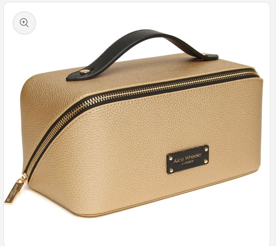 Train Case - Gold