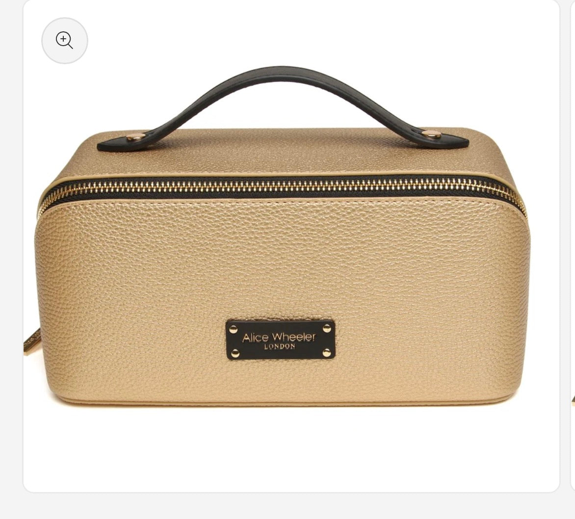 Train Case - Gold