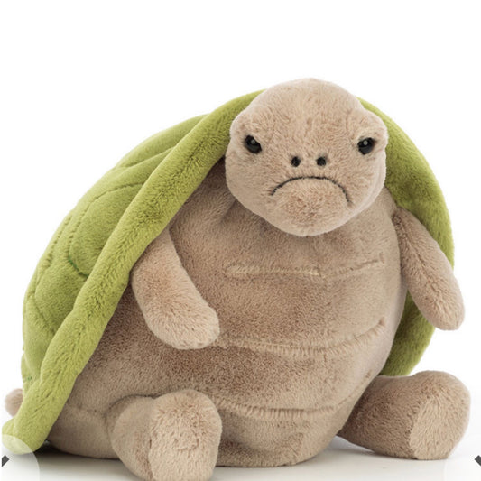 Timmy Turtle