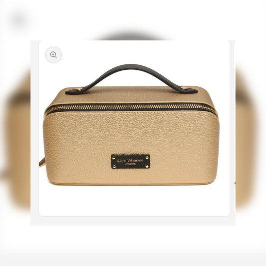 Train Case - Gold